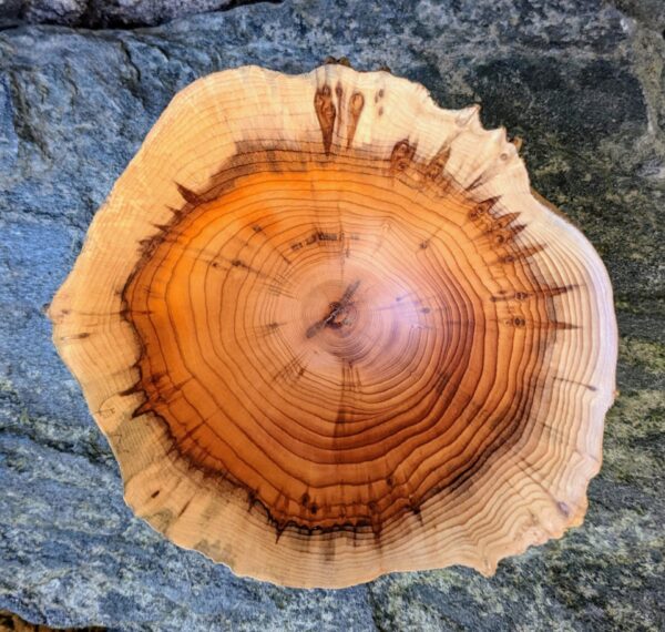 yew-bowl